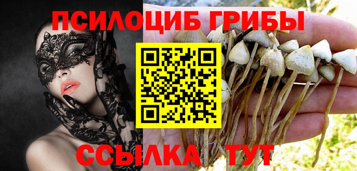 Галлюциногенные грибы Magic Shrooms Северск