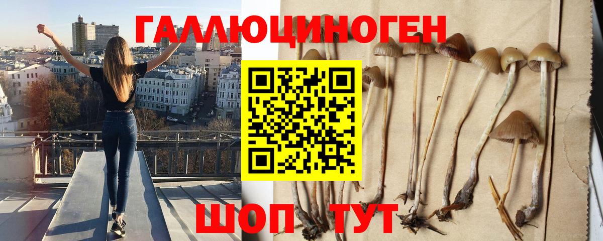 Северск  Галлюциногенные грибы Cubensis  Вход с VPN  Галлюциногенные грибы Psilocybe 